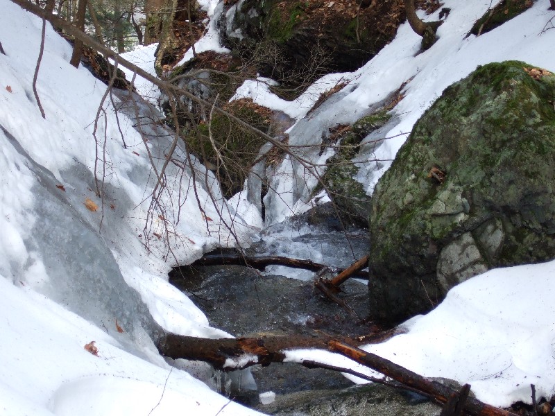 Click to view full-size image