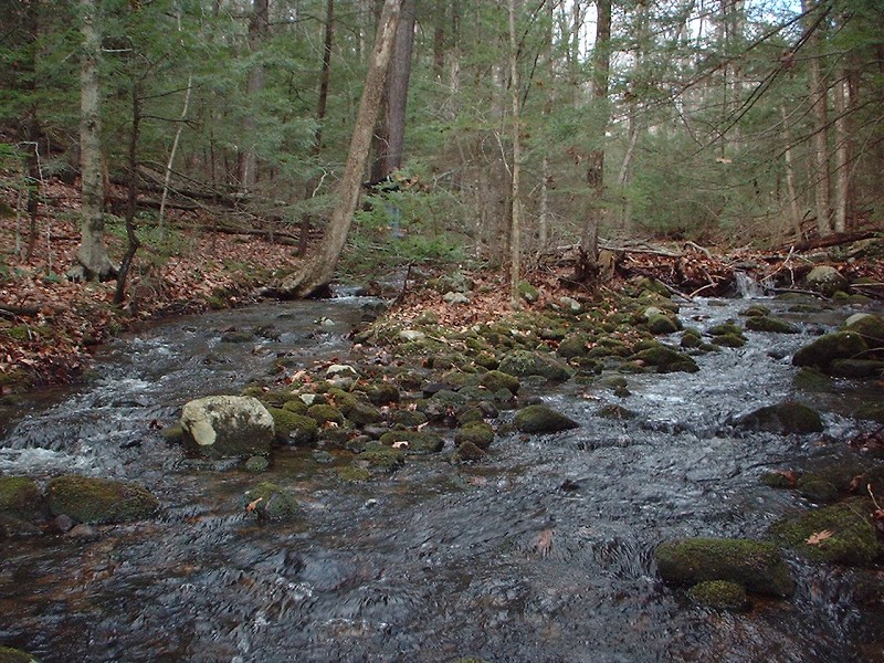 Click to view full-size image