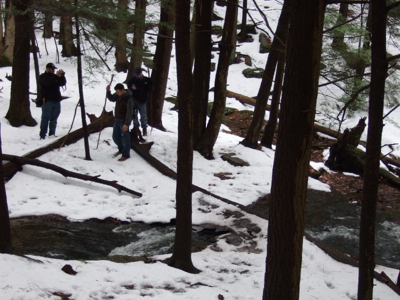 Click to view full-size image