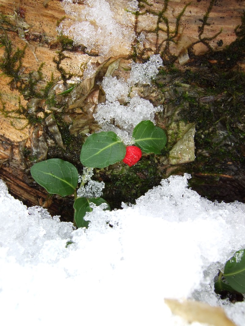 Click to view full-size image