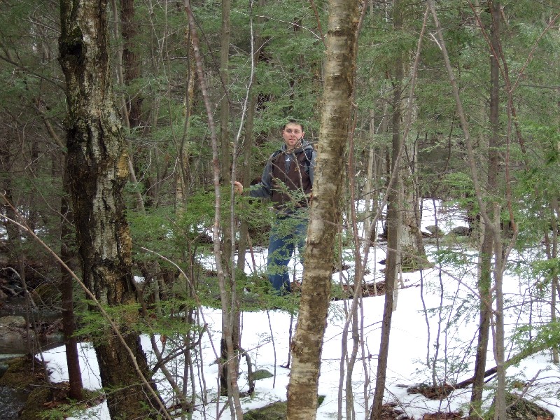 Click to view full-size image