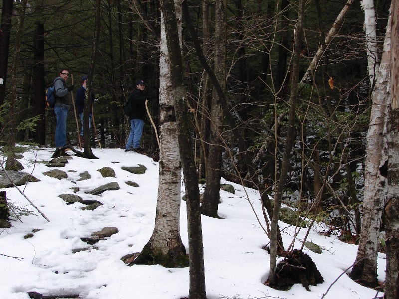 Click to view full-size image