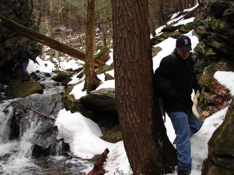 Click to view full-size image