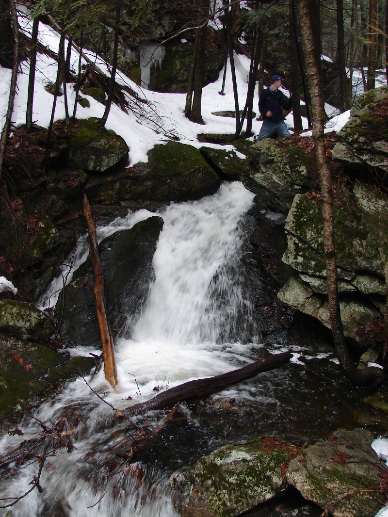 Click to view full-size image