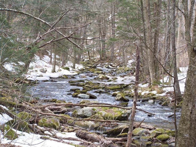 Click to view full-size image