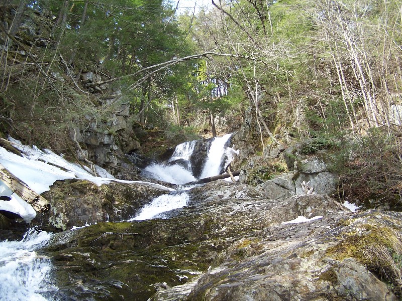 Click to view full-size image