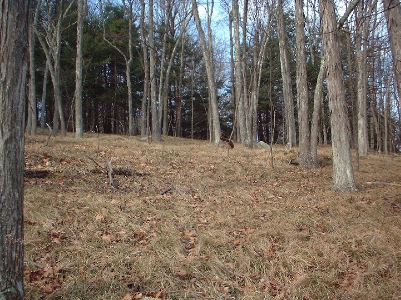 Click to view full-size image