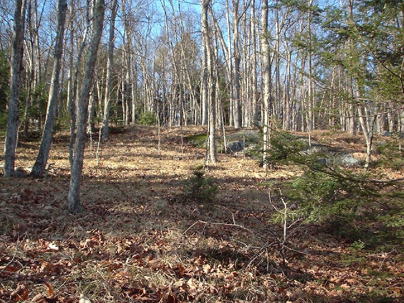 Click to view full-size image