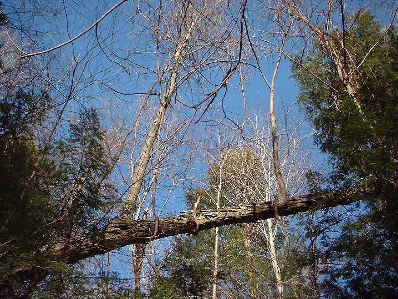 Click to view full-size image