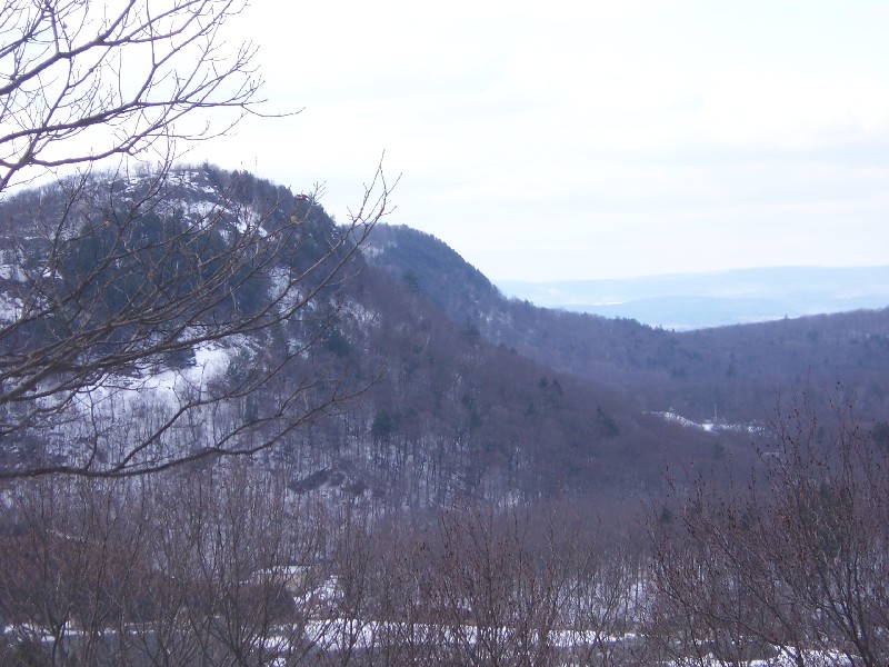 Click to view full-size image