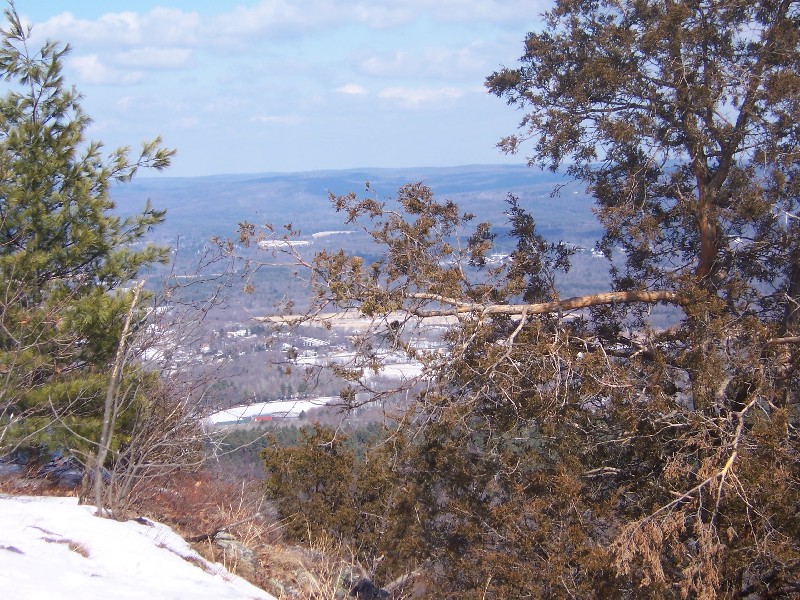 Click to view full-size image