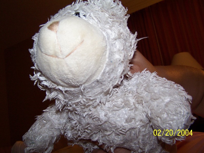 Click to view full-size image