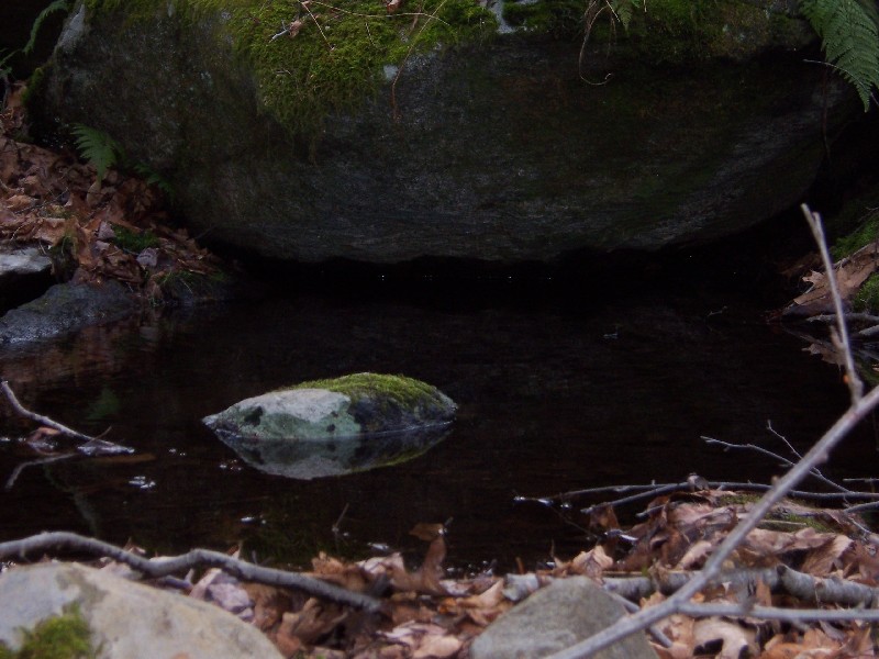 Click to view full-size image