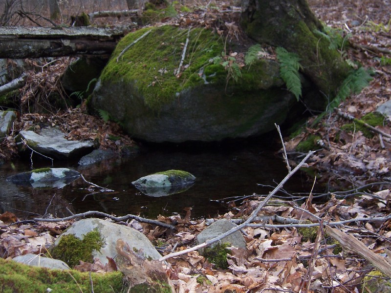 Click to view full-size image