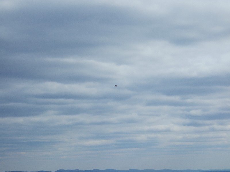 Click to view full-size image