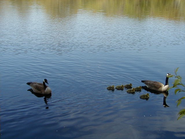 Click to view full-size image