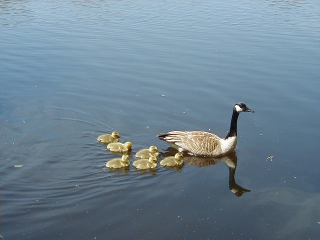 Click to view full-size image