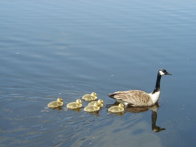 Click to view full-size image