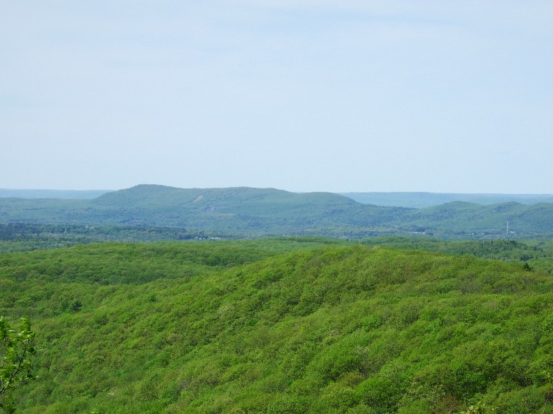 Click to view full-size image