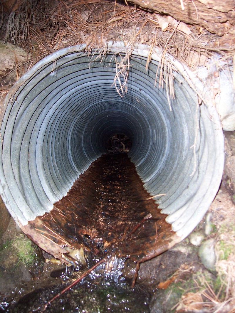 Click to view full-size image