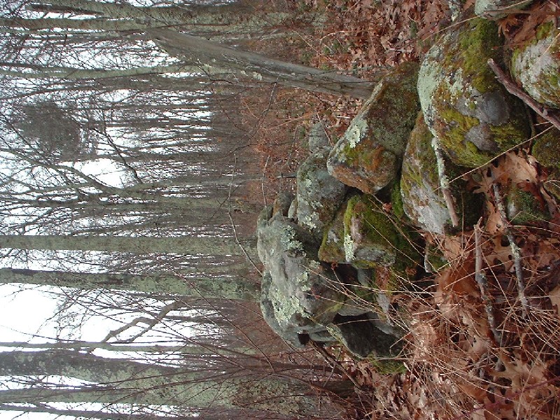 Click to view full-size image