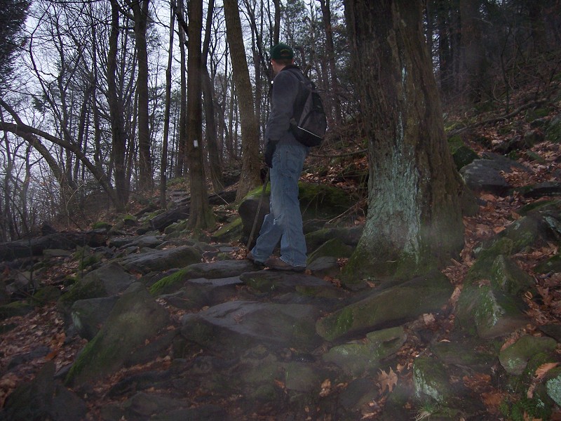 Click to view full-size image