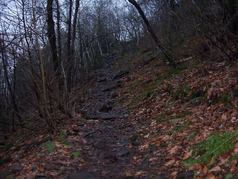 Click to view full-size image