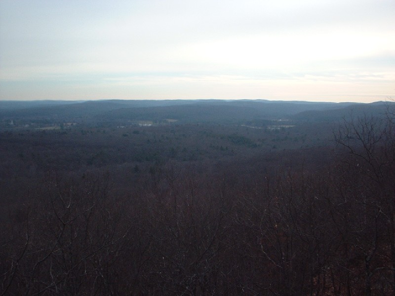 Click to view full-size image