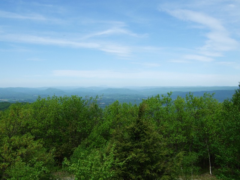 Click to view full-size image