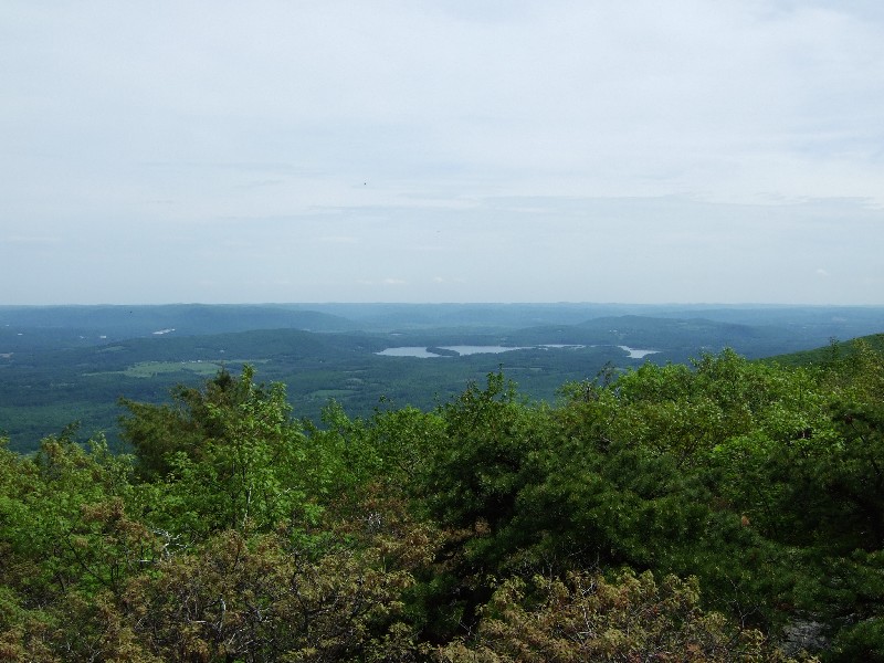 Click to view full-size image