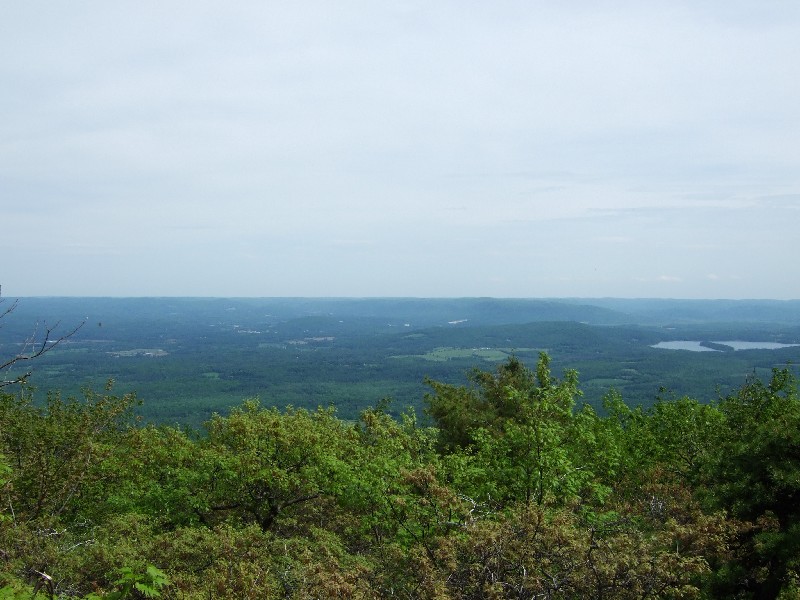 Click to view full-size image