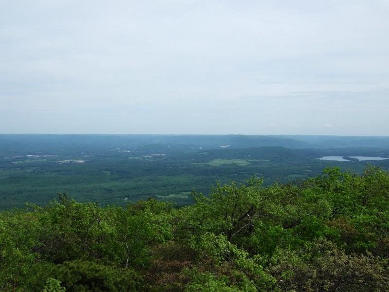 Click to view full-size image