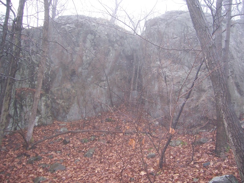 Click to view full-size image