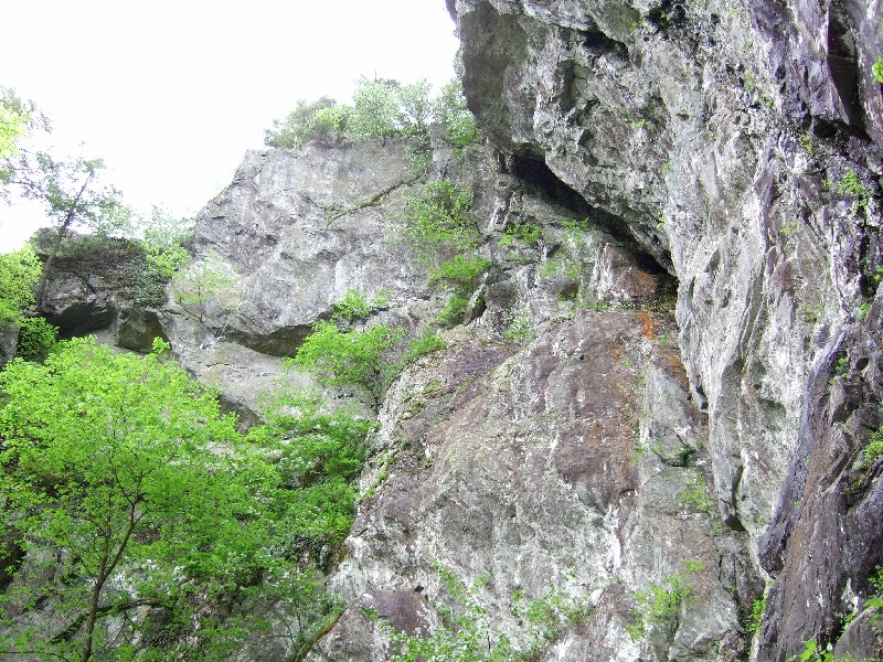 Click to view full-size image