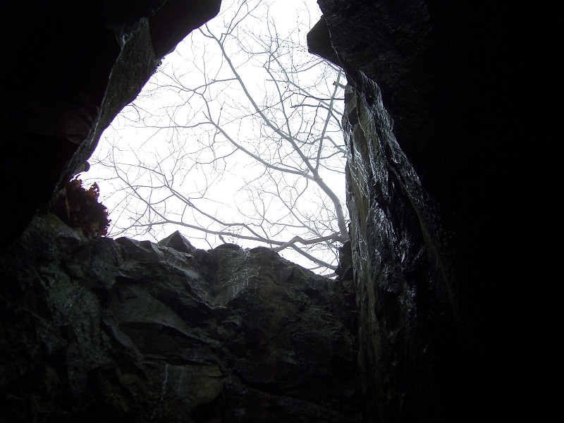 Click to view full-size image