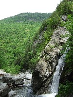 Click to View this Album