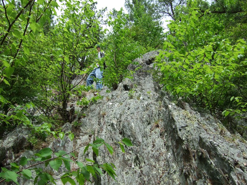 Click to view full-size image