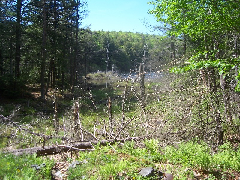 Click to view full-size image