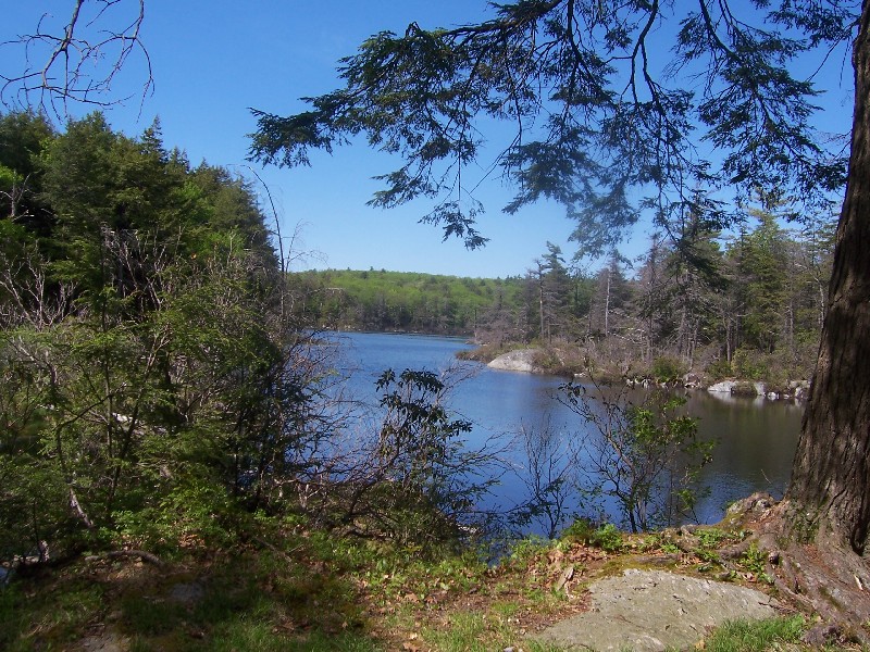 Click to view full-size image