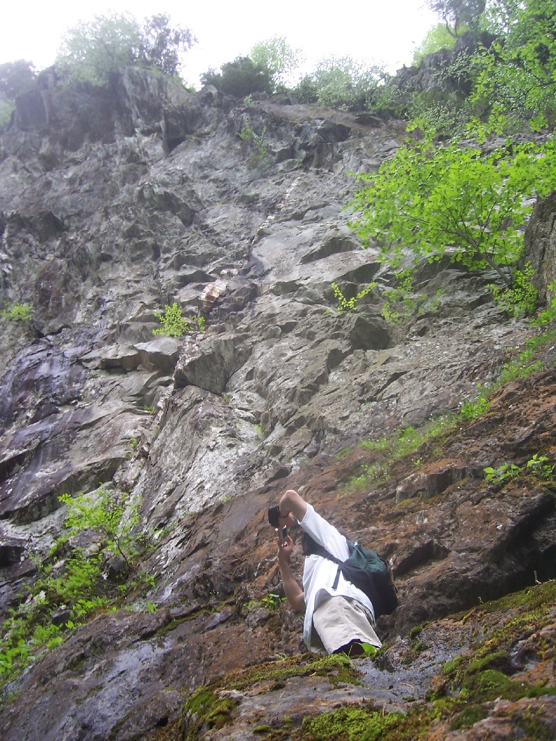 Click to view full-size image