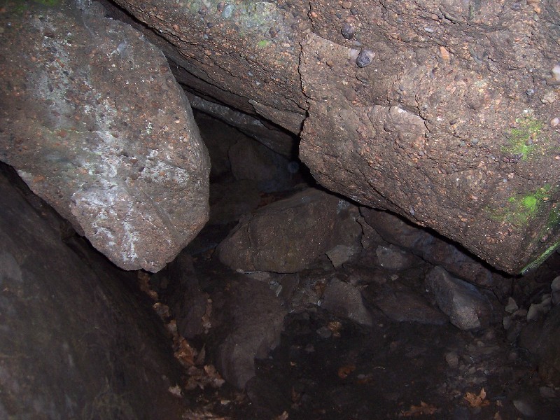 Click to view full-size image