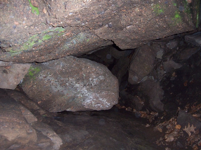 Click to view full-size image