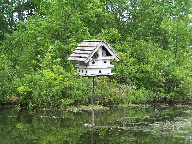 Click to view full-size image