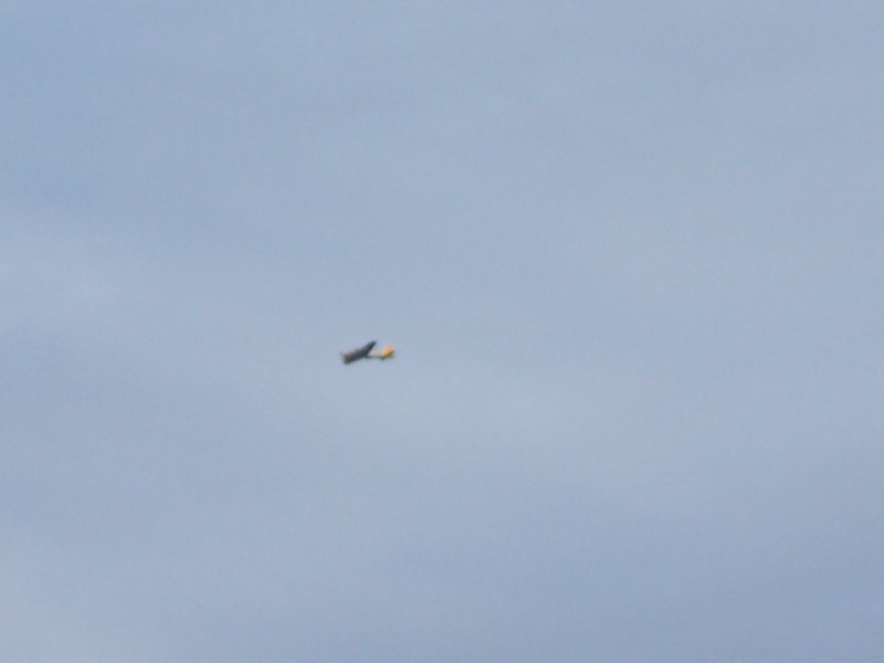 Click to view full-size image