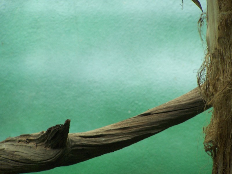 Click to view full-size image