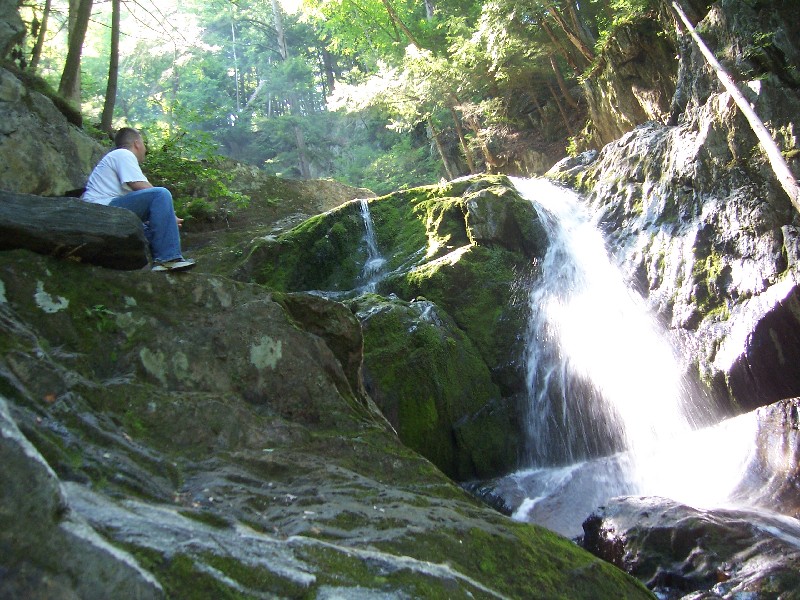 Click to view full-size image