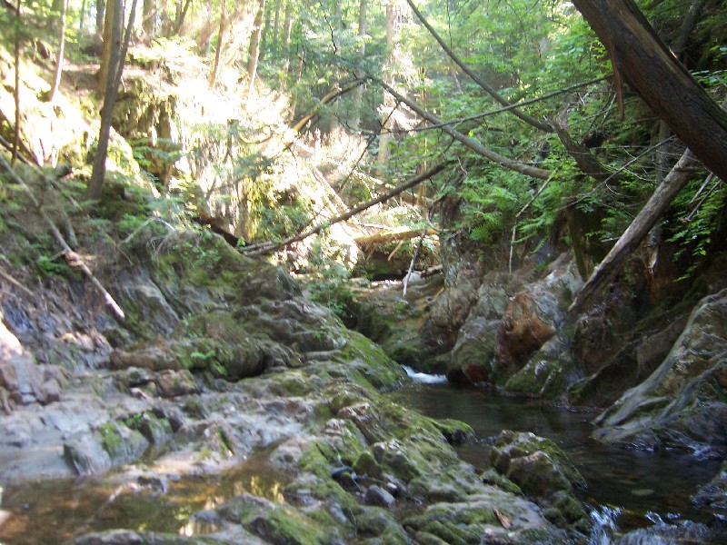 Click to view full-size image