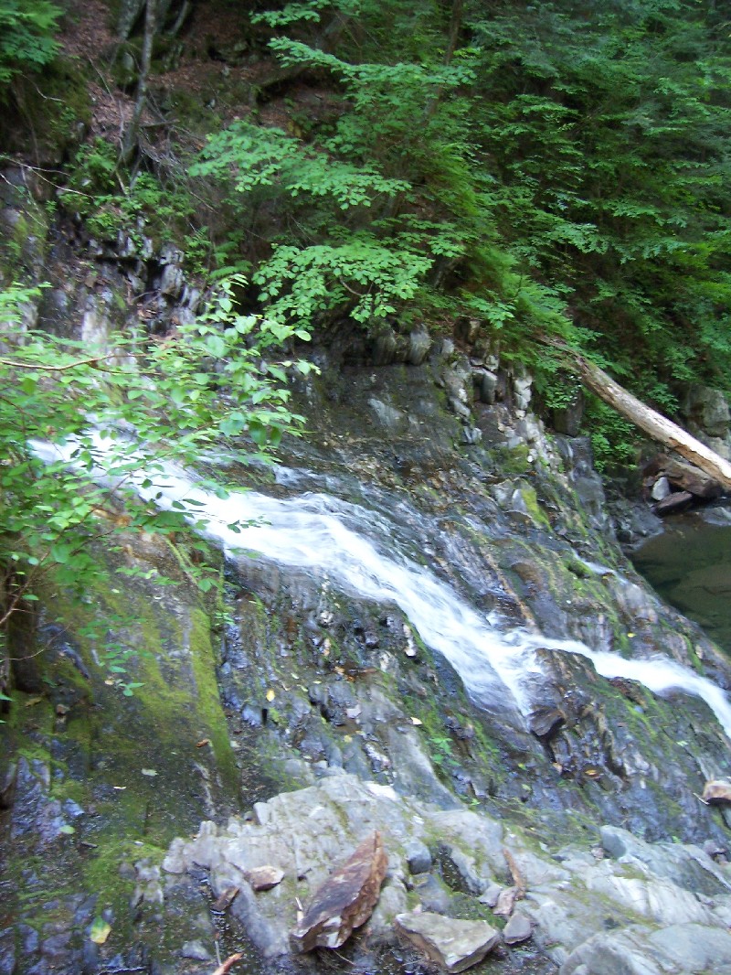 Click to view full-size image