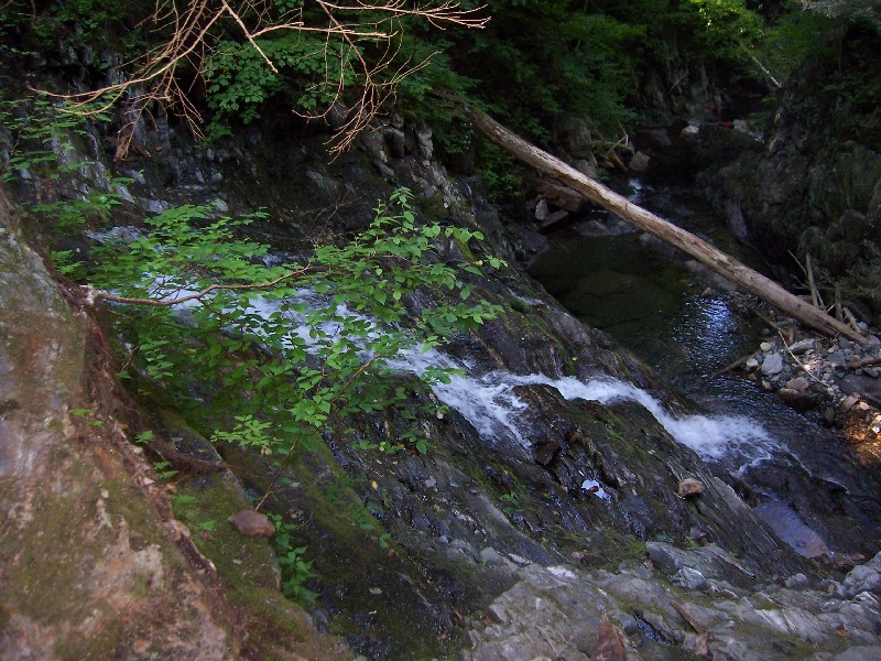 Click to view full-size image