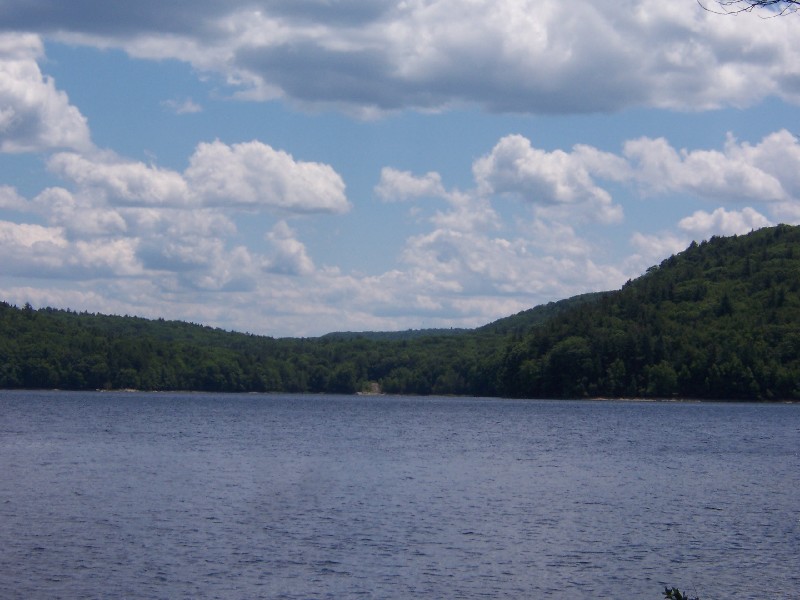 Click to view full-size image